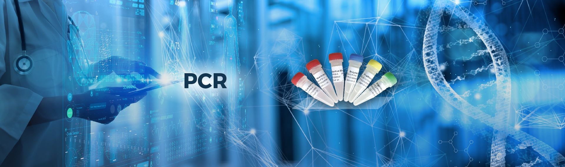 qualidade Teste rápido do PCR Serviço